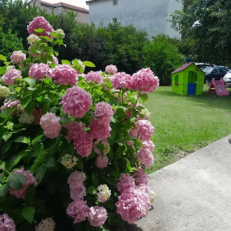 Ponte Free Parking Guest house