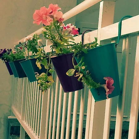 Ponte Free Parking Konukevi 4*