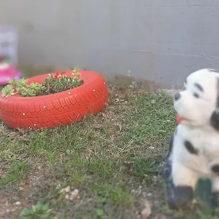 Ponte Free Parking Konukevi Mostar