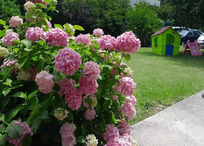 Ponte Free Parking Pensjonat