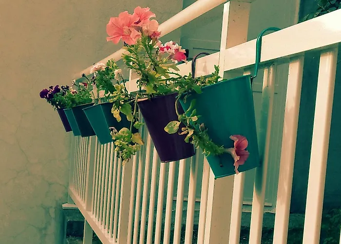 Ponte Free Parking Pensjonat 4*